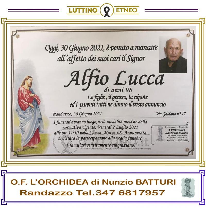 Alfio  Lucca 